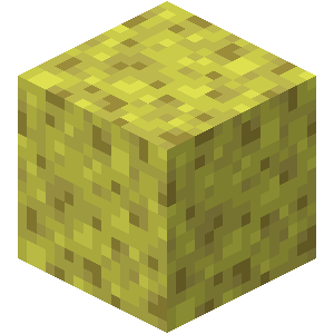 10x Eponges