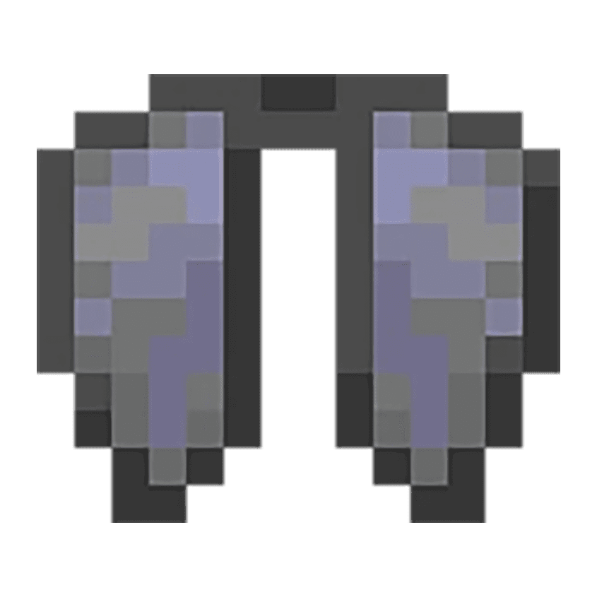 1x Elytra